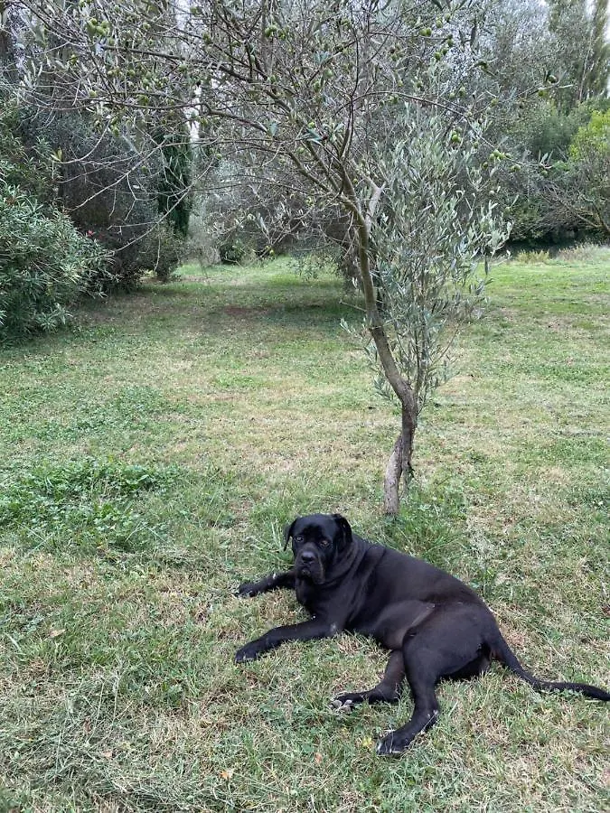 Bastide De Gueissard Bed & Breakfast Saint-Cyr-sur-Mer